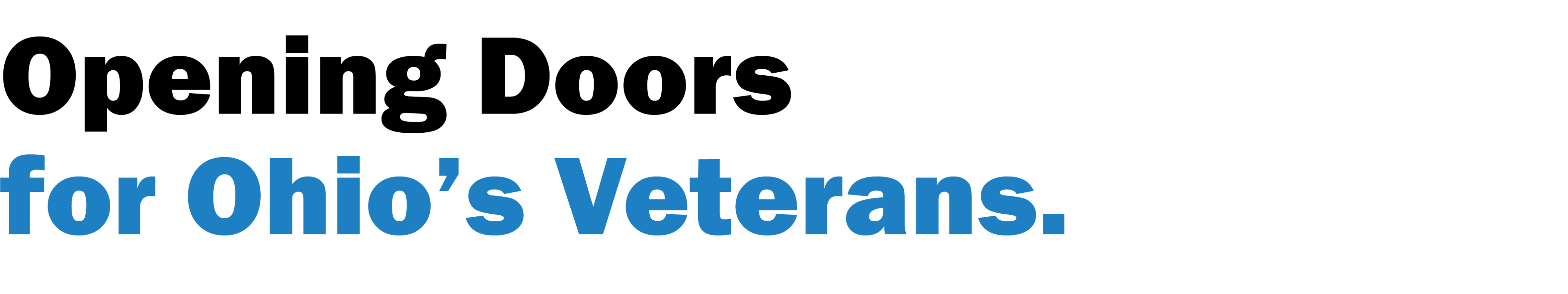Veterans Initiatives