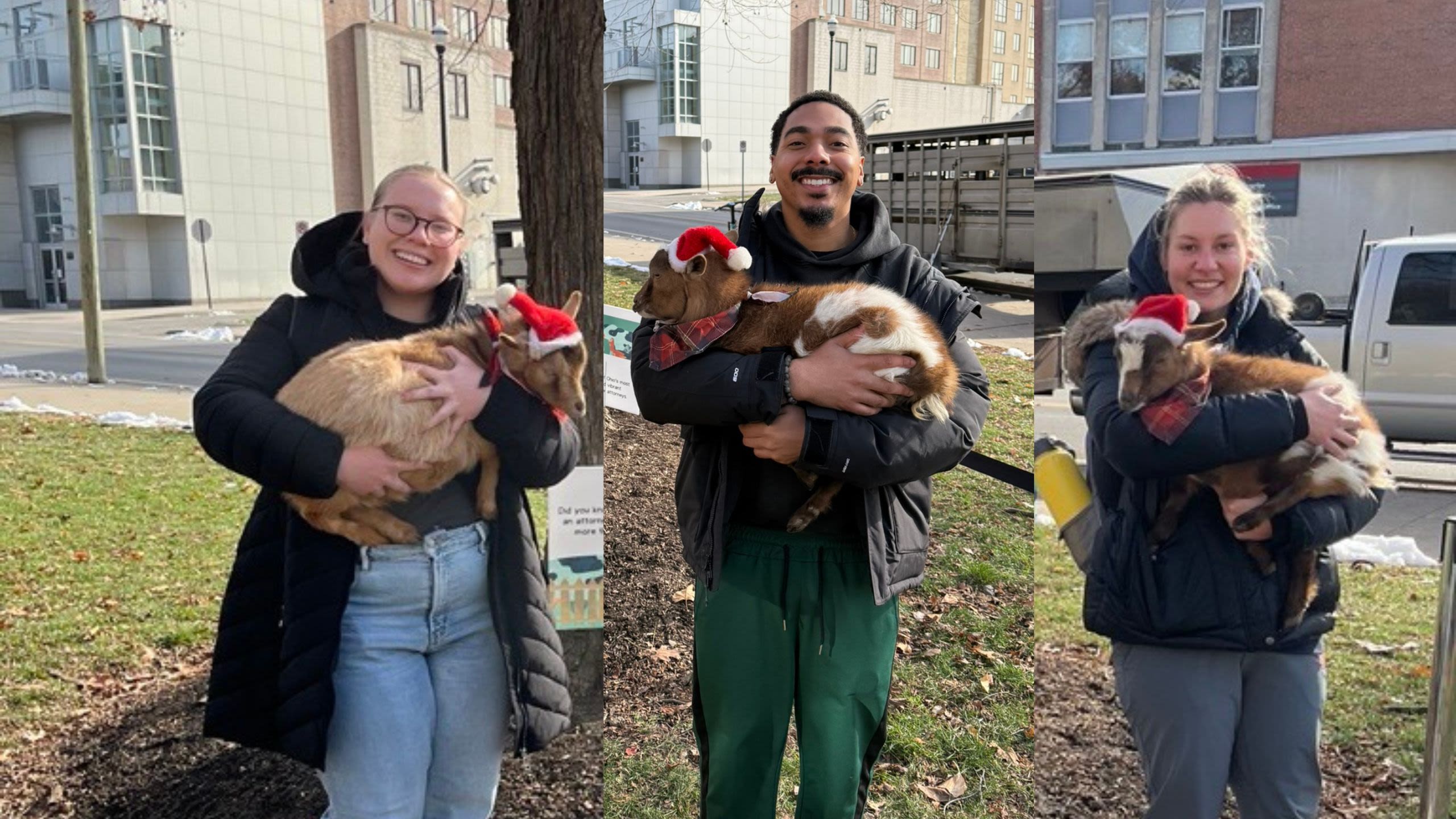 Law students at the petting zoo event